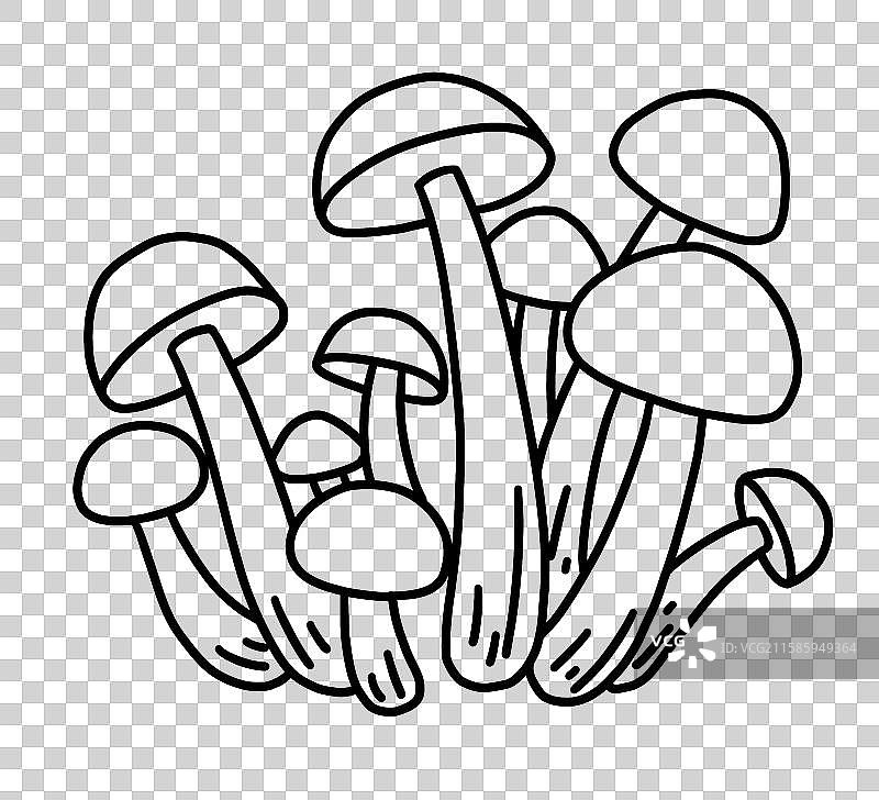 蘑菇插画-鹿茸菇图片素材