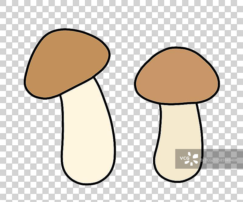 蘑菇插画图片素材