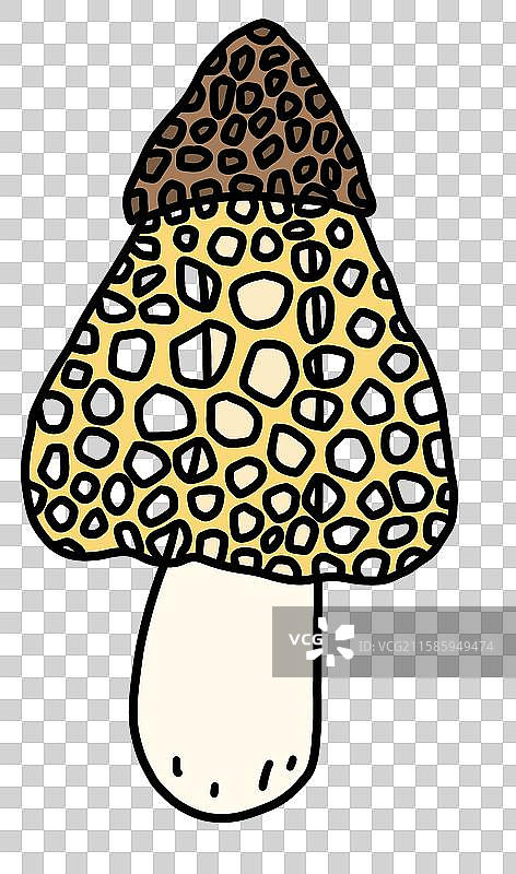 蘑菇插画-黄色竹荪图片素材