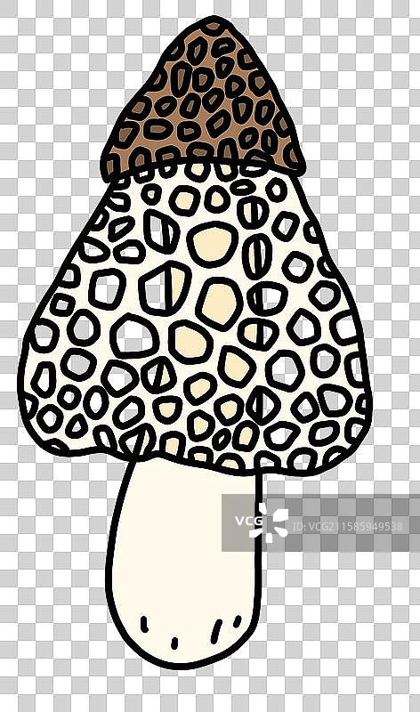 蘑菇插画-竹荪图片素材