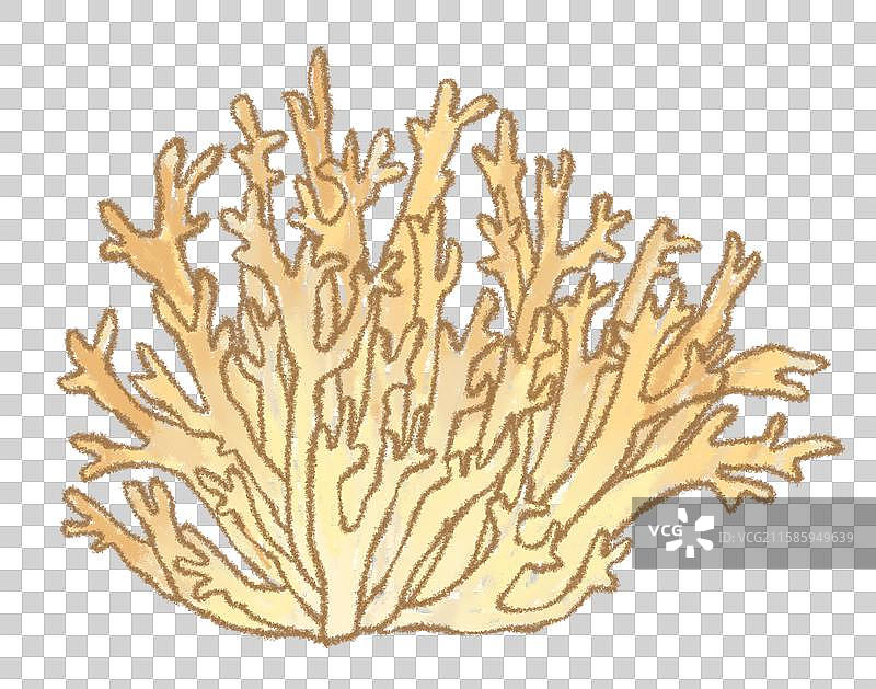 蘑菇插画-珊瑚菌图片素材
