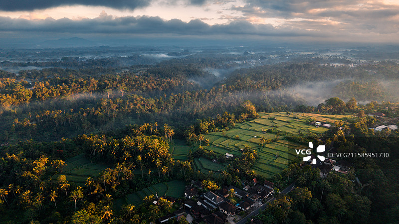 印度尼西亚巴厘岛乌布梯田图片素材