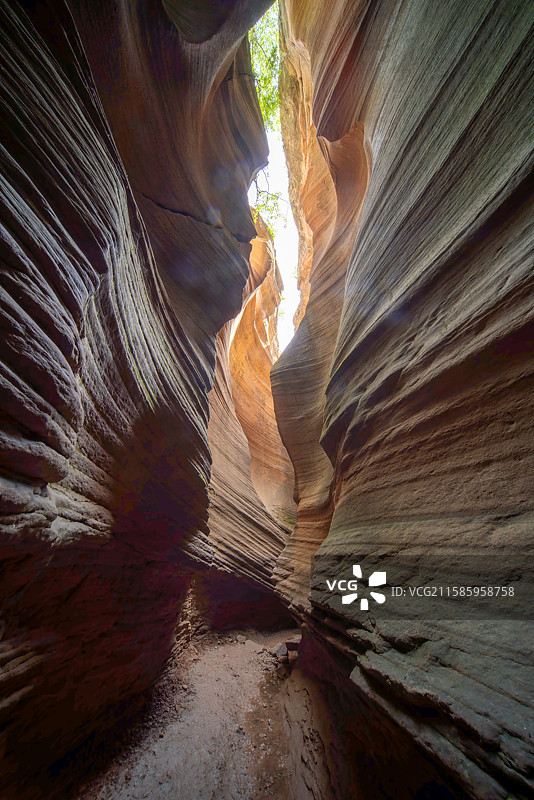陕西靖边波浪谷峡谷仰望的绿意与光芒图片素材