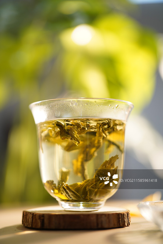 绿茶浸泡过程特写图片素材