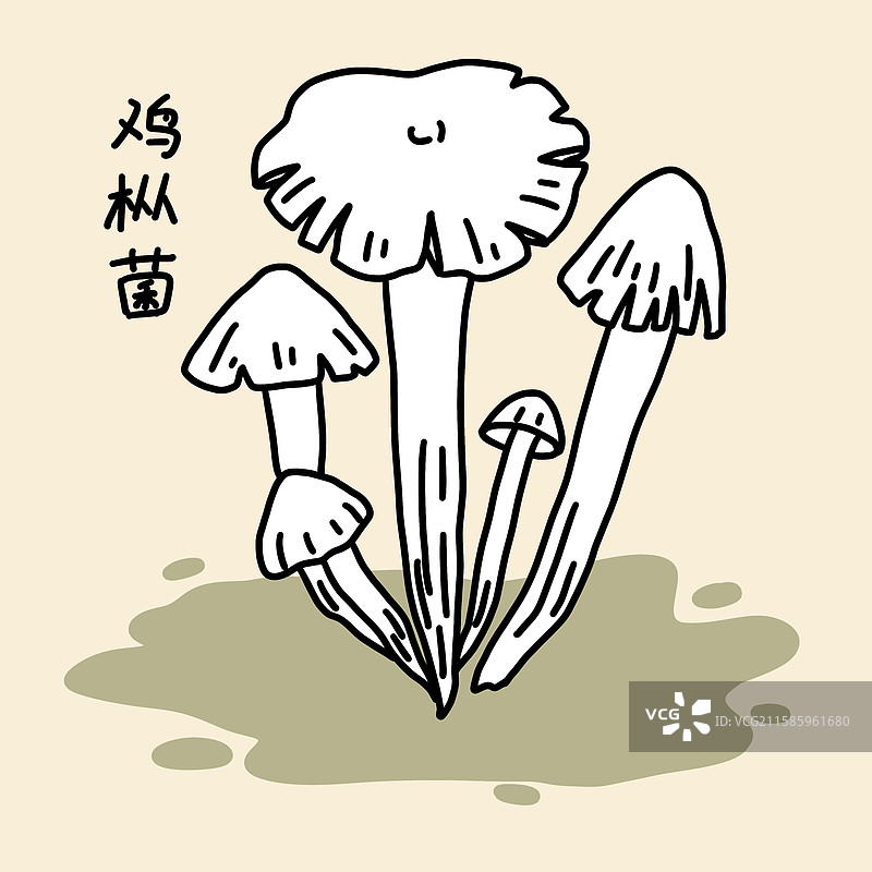 蘑菇插画-鸡枞菌图片素材