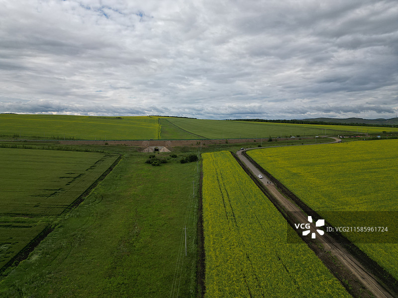 呼伦贝尔大草原图片素材