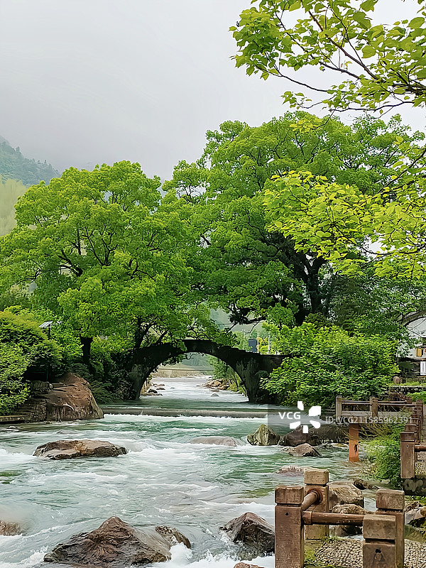 探秘衢州桃源七里景区：竹林云海、古村梯田，解锁江南最后的隐逸之地图片素材