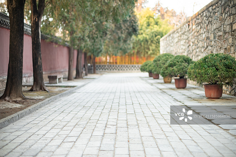 中国山东泰安著名景点泰山旅行旅游目的地，泰山第一行宫岱庙中式庭院步行道路和柏树，户外白昼无人图像摄影图片素材
