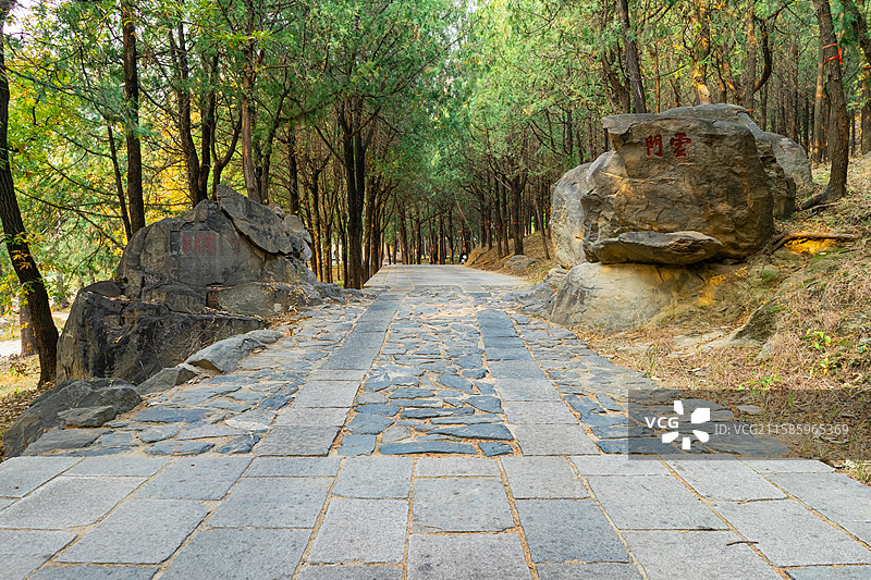 中国山东省泰安市泰山旅游风景区著名景点，普照寺寺庙的石板路林荫大道和两侧的石雕，户外白昼无人图像摄影图片素材