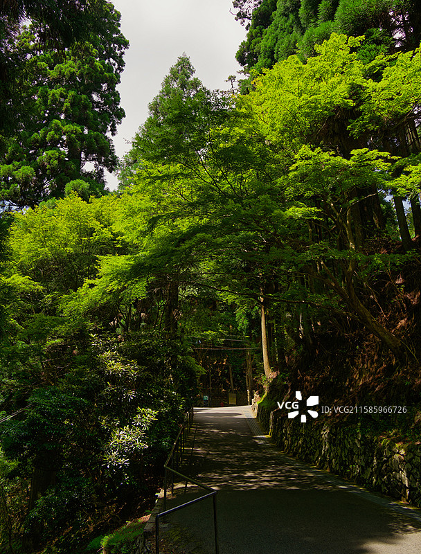 京都 比睿山延历寺 西塔 东塔图片素材