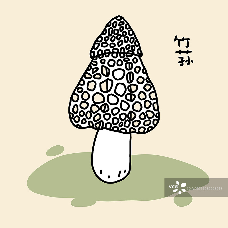 蘑菇插画-竹荪图片素材