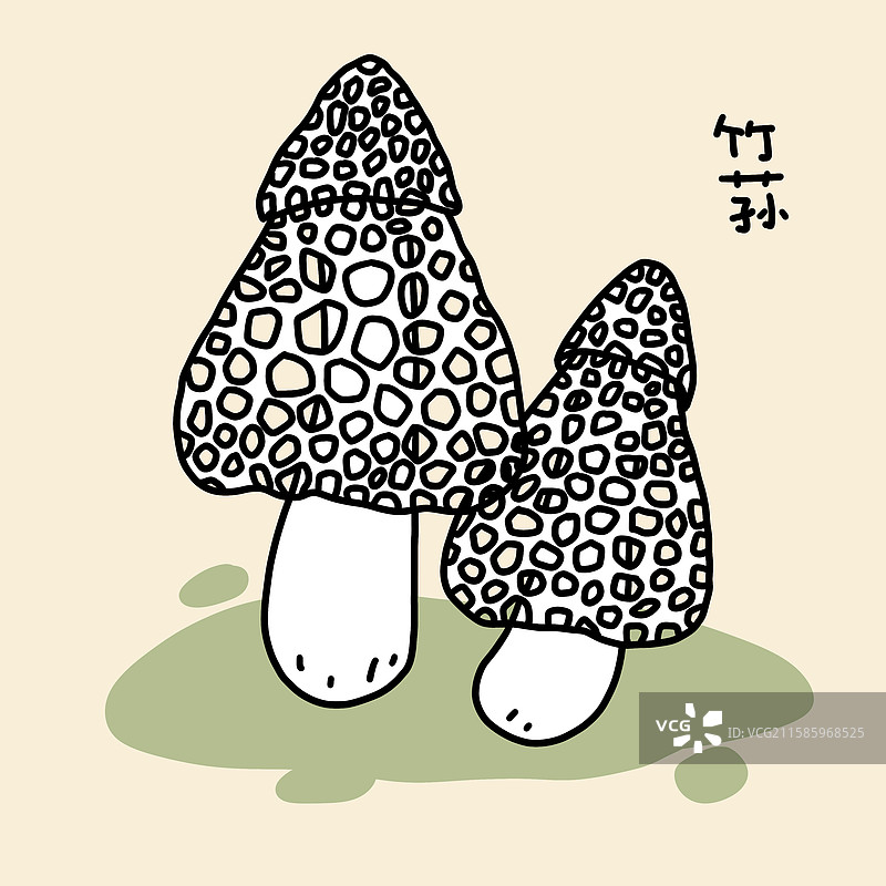 蘑菇插画-竹荪图片素材