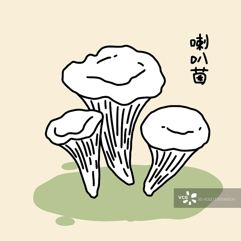 蘑菇插画-喇叭菌图片素材