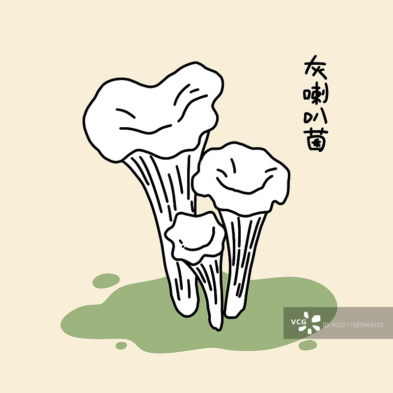蘑菇插画-灰喇叭菌图片素材