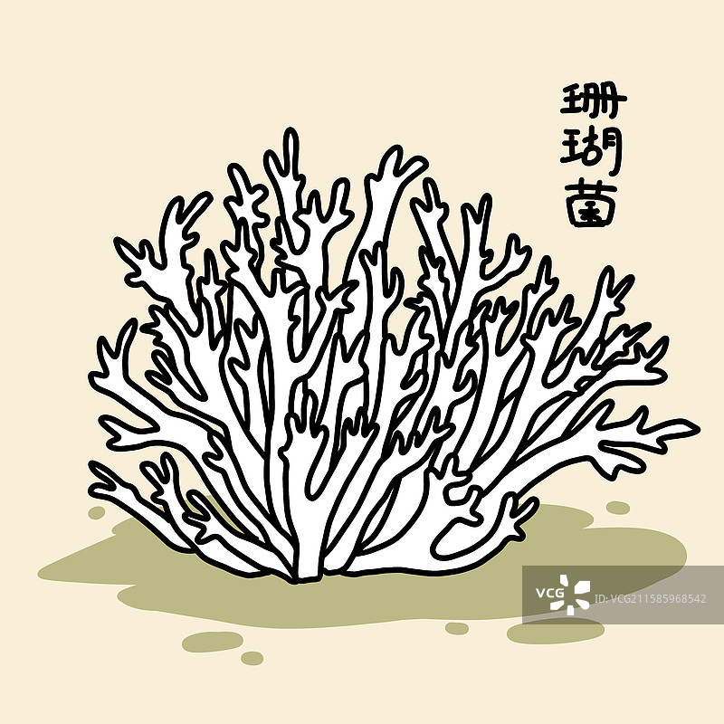 蘑菇插画-珊瑚菌图片素材