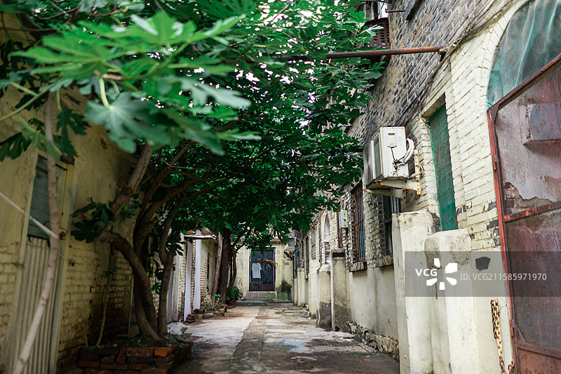 中国传统复古建筑拍摄主题，乡村风格老破小平房建筑社区的胡同巷子，户外无人图像摄影图片素材