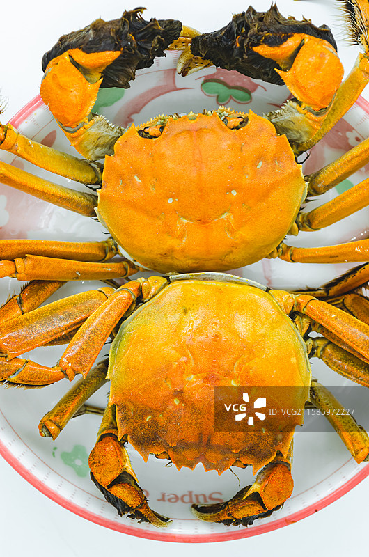 中国海产海鲜农副产品拍摄主题，高视角盘子里煮熟的阳澄湖大闸蟹公蟹母蟹螃蟹，室内无人影棚拍摄图像摄影图片素材