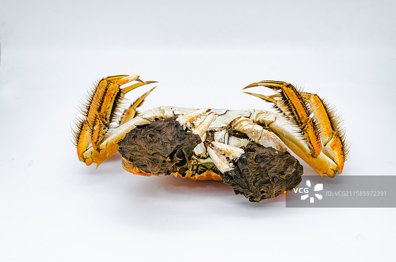 中国海产海鲜农副产品拍摄主题，高视角盘子里煮熟的阳澄湖大闸蟹公蟹母蟹螃蟹，室内无人影棚拍摄图像摄影图片素材