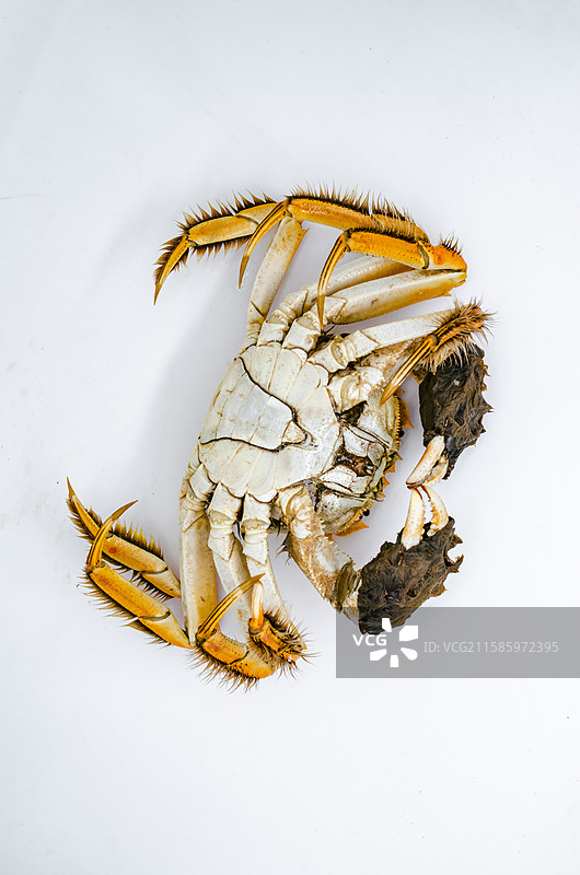 中国海产海鲜农副产品拍摄主题，高视角盘子里煮熟的阳澄湖大闸蟹公蟹母蟹螃蟹，室内无人影棚拍摄图像摄影图片素材