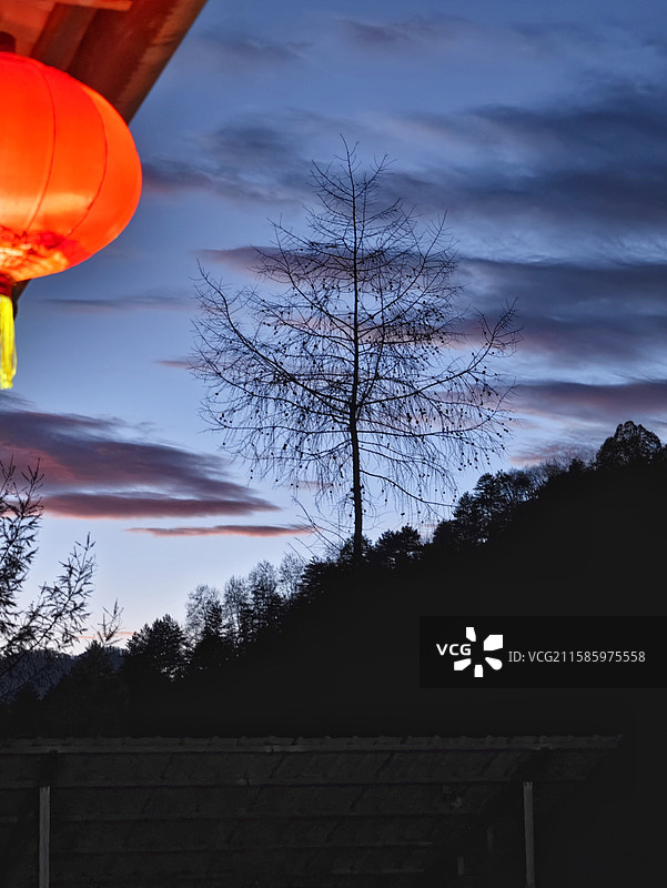 《晚灯孤树》 拍摄于陕西省宝鸡市太白县黄柏塬镇大箭沟景区，是秦岭兴隆岭下的原生态风景名胜区。 ‌图片素材