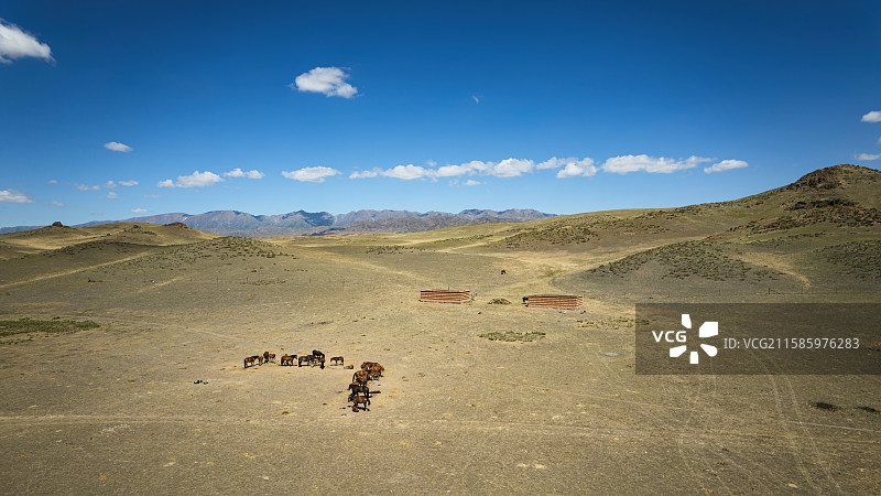新疆戈壁滩荒漠上养马和马房自然风景图片素材