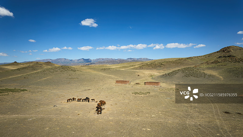 新疆戈壁滩荒漠上养马和马房自然风景图片素材