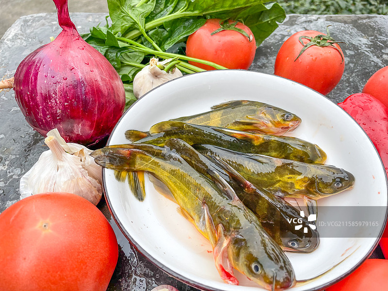 黄骨头鱼美食搭配新鲜食材图片素材