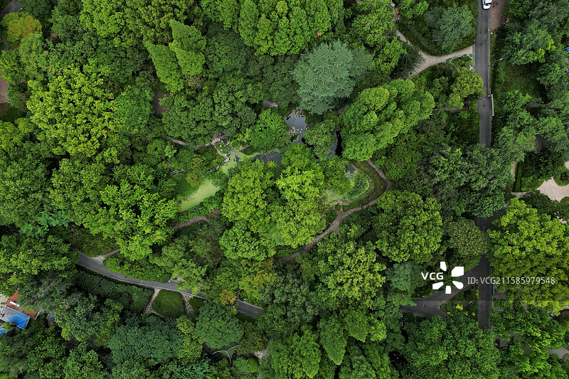 上海中山公园图片素材