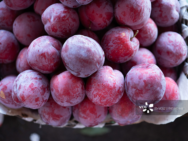 红李子图片素材