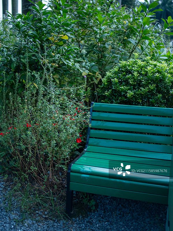 植物旁边的绿色长椅图片素材