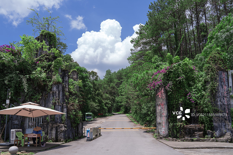 广西贵港市桂平市龙潭国家森林公园美丽风景图片素材