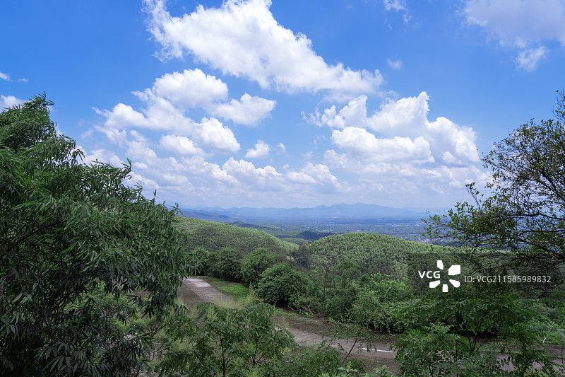 广西贵港市桂平市龙潭国家森林公园美丽风景图片素材