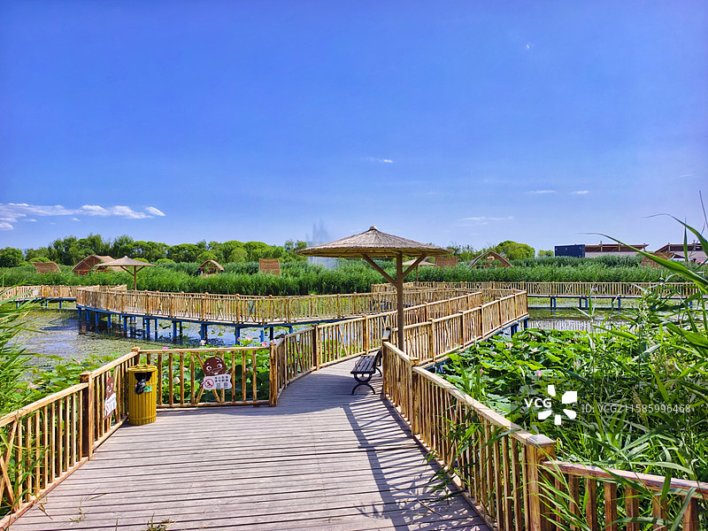 新疆巴音郭楞博湖县博斯腾湖大河口景区夏天风光图片素材