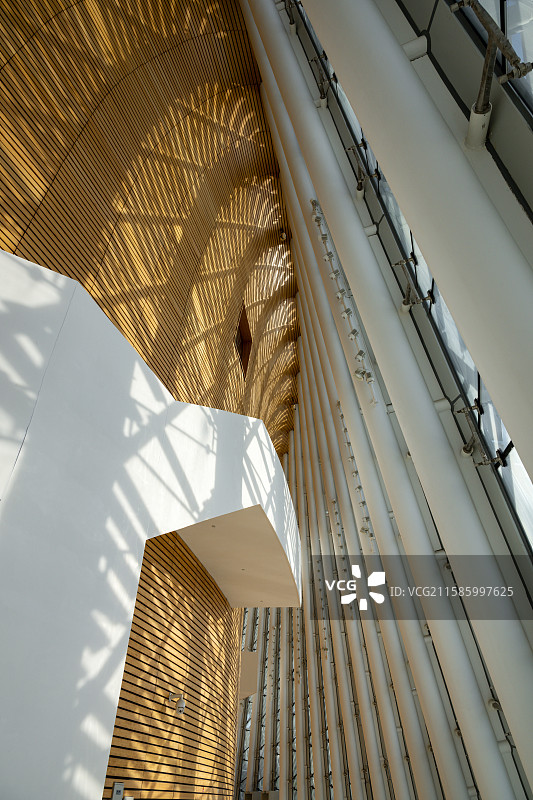 福建福州海峡艺术中心现代建筑的光影艺术图片素材