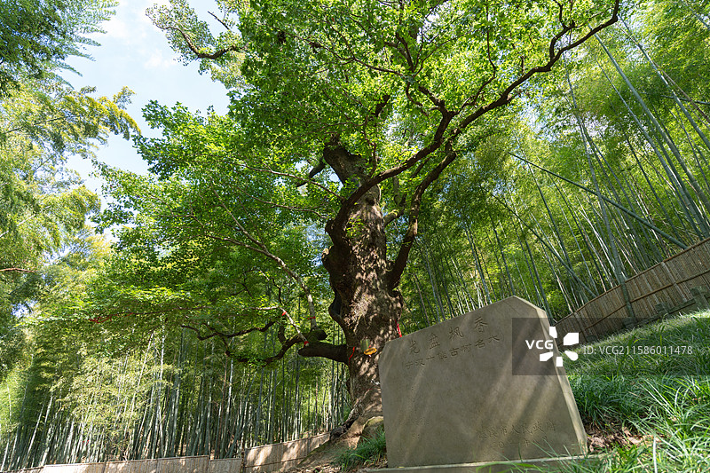 宁波慈溪五磊山风景区五磊寺图片素材