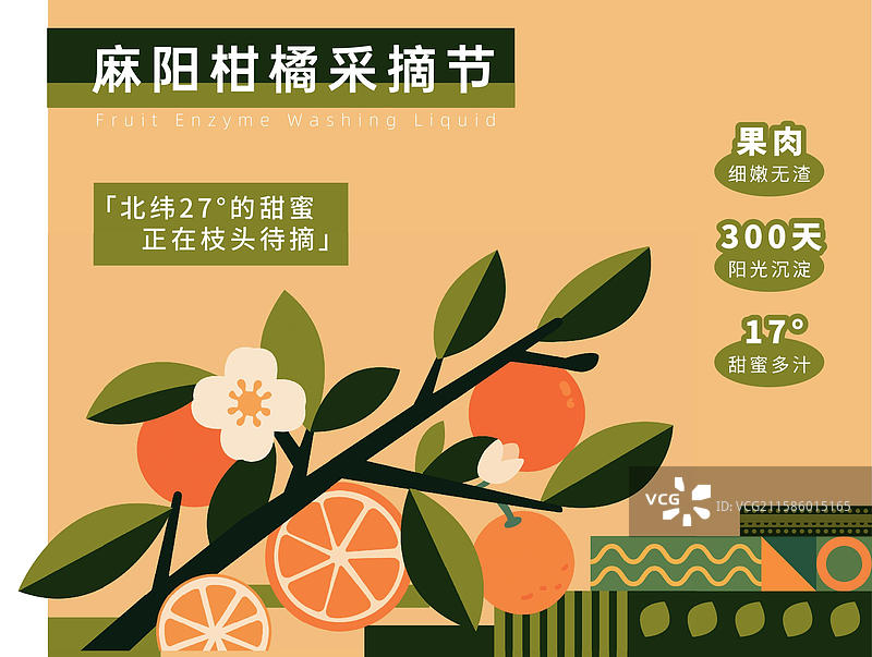 扁平风矢量插画橙子采摘节海报图片素材