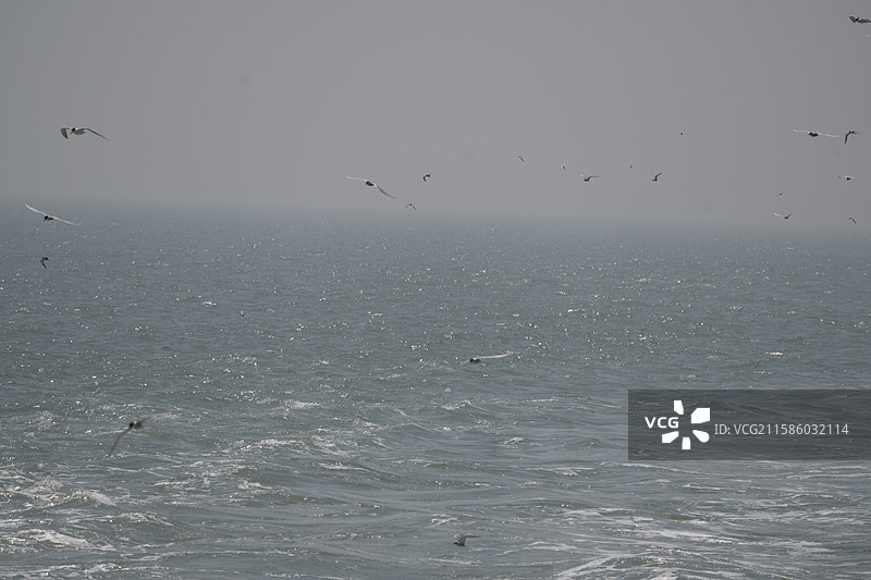 浙江舟山东极岛风景区图片素材