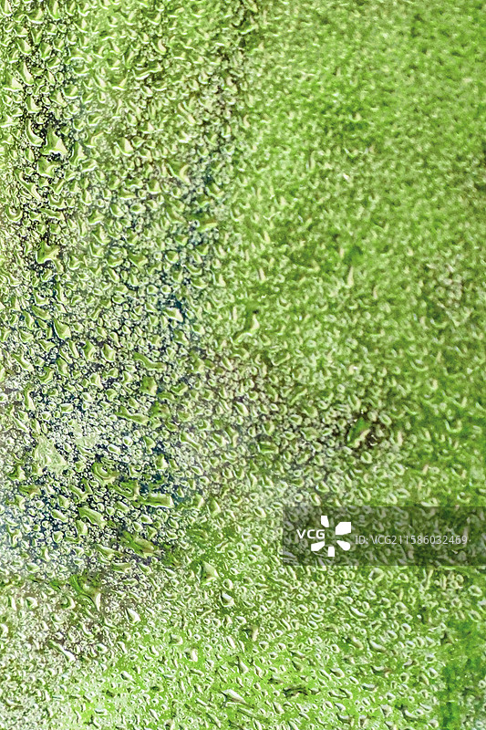 玻璃上布满晶莹的雨滴使得窗外的草地变得模糊朦胧图片素材