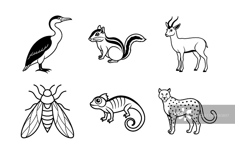 动物线条艺术图标集图片素材
