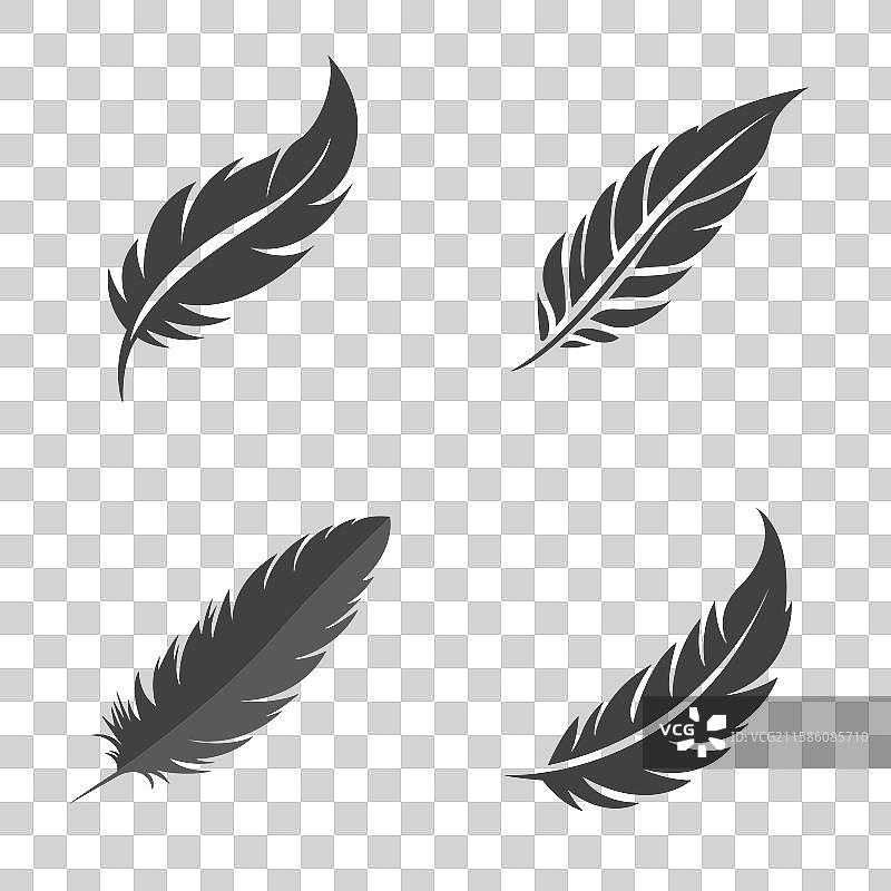 羽毛标志符号设计图片素材