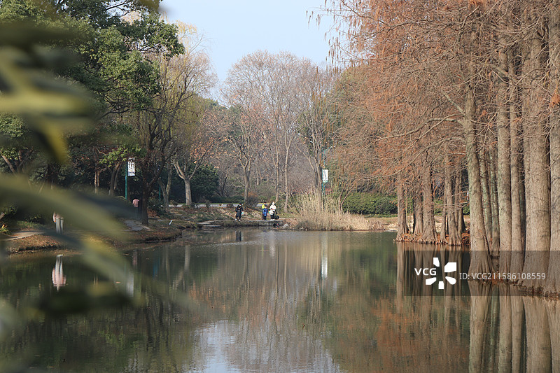 无锡鼋头渚秋景图片素材