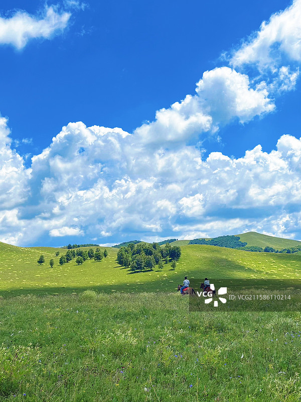 草原飞驰图片素材