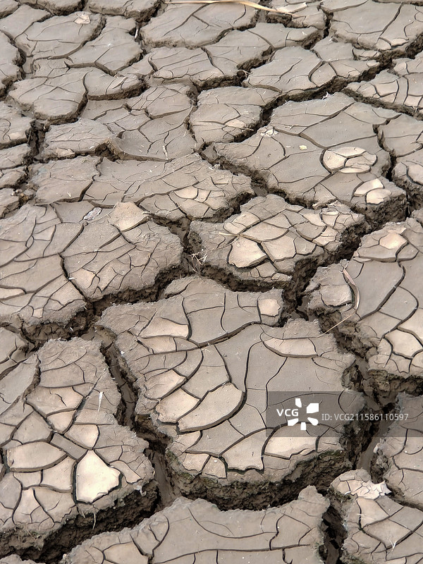 干旱  干涸 龟裂的泥土  龟裂纹图片素材