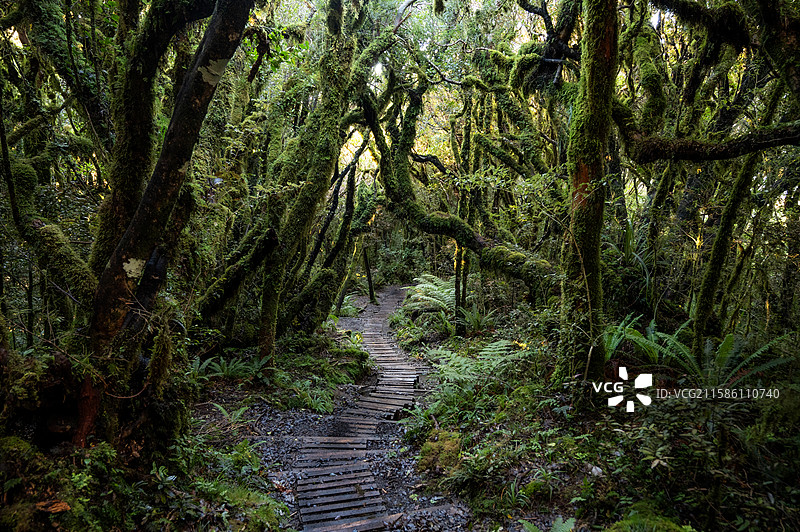 新西兰新普利茅斯 塔拉纳基山登山步道 Mount Taranaki Hiking Trail New图片素材