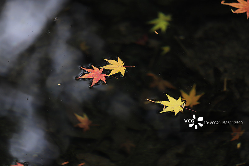 九溪烟树具象化了，真的有好多烟图片素材