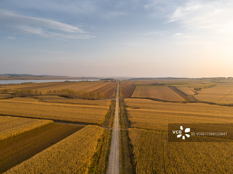 黑龙江佳木斯桦南县共和湖风景区丰收季节图片素材