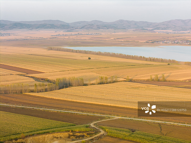 黑龙江佳木斯桦南县共和湖风景区金秋田野图片素材