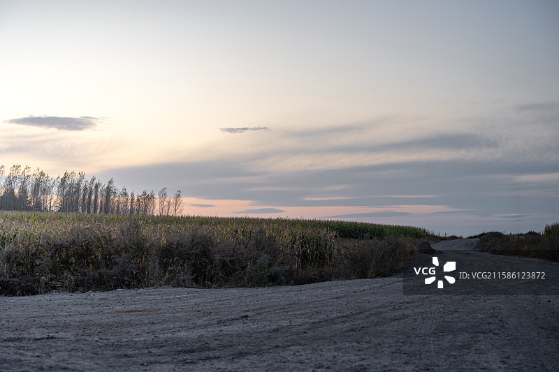黑龙江佳木斯桦南县共和湖风景区的乡间小路图片素材