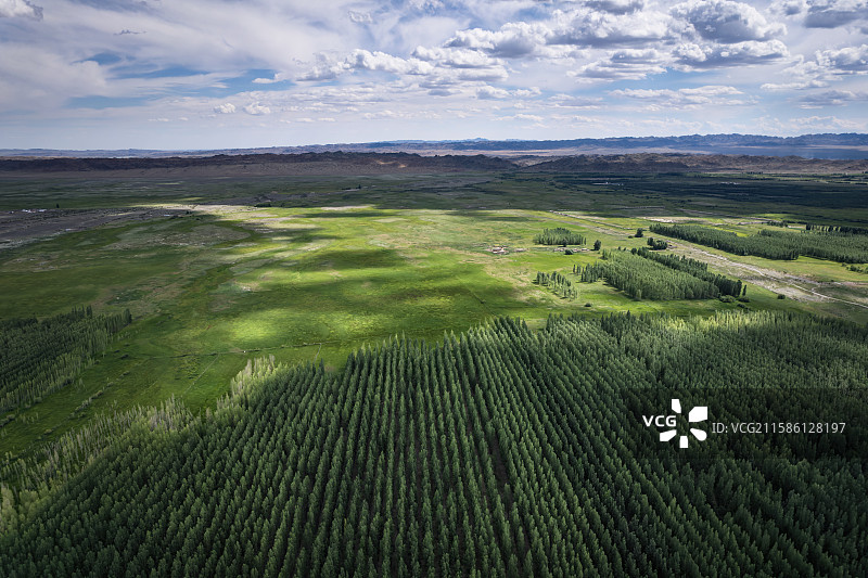 新疆塔城防护林带自然地物航拍图图片素材
