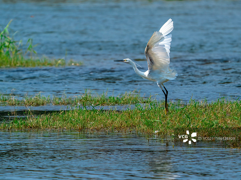 自由飞行图片素材